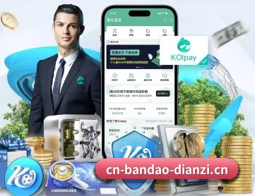 半岛电竞 APP 深度功能